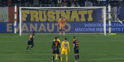 的样板